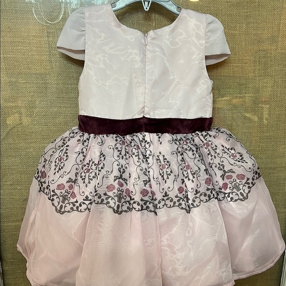 🎀Disney Princess Aurora/ Sleeping Beauty Pink Floral Embroidered Party Dress - Picture 10 of 10